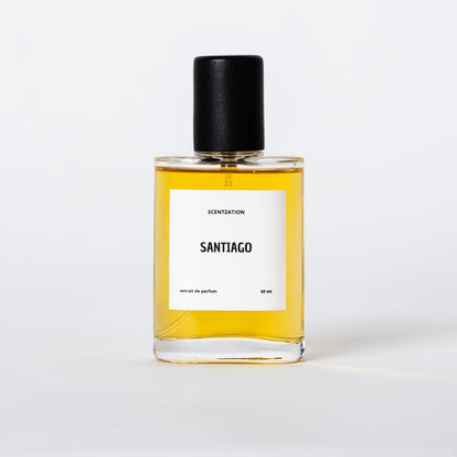 NYHET: SANTIAGO - Inspirerad av Armani - Stronger With You Intensely